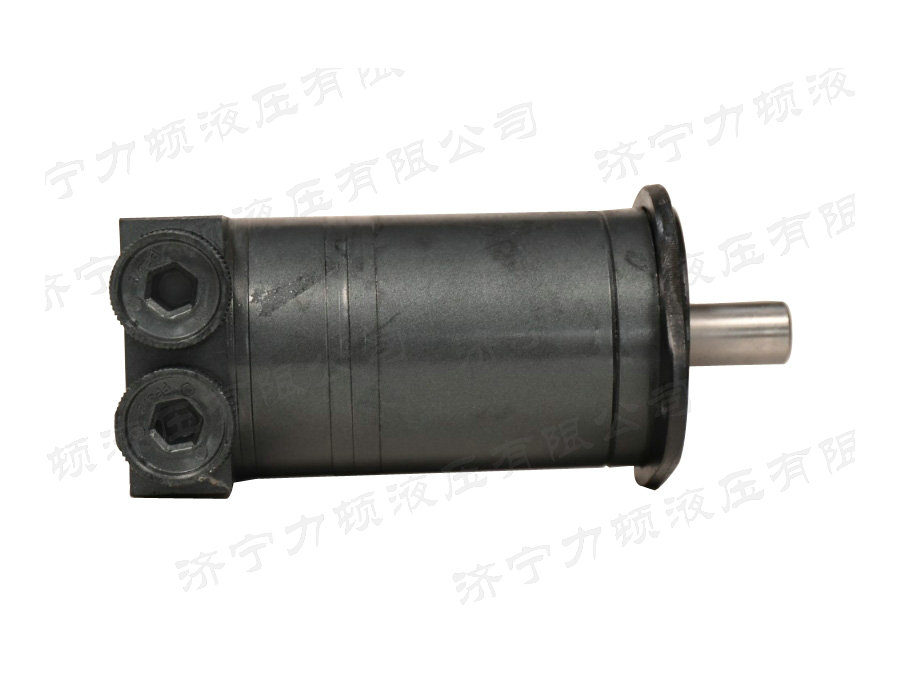 开云(中国)侧油口系列马达